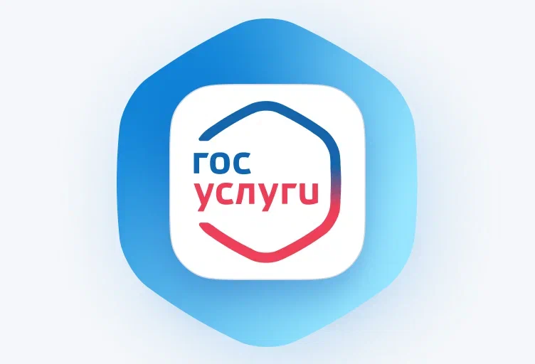 Запись в кружки.